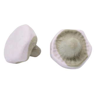 Franssons Skumsvamp Viol/Lakrits 1 KG