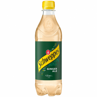 Schweppes Ginger Ale 50 CL